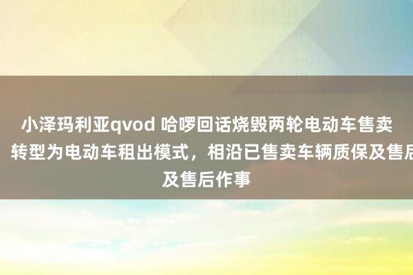 小泽玛利亚qvod 哈啰回话烧毁两轮电动车售卖业务：转型为电动车租出模式，相沿已售卖车辆质保及售后作事