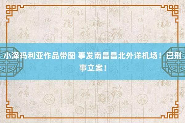 小泽玛利亚作品带图 事发南昌昌北外洋机场！已刑事立案！