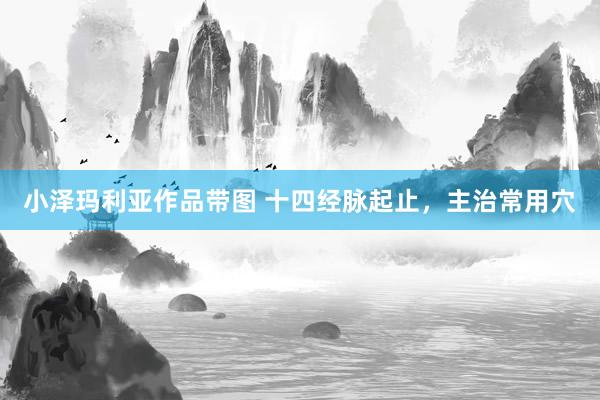 小泽玛利亚作品带图 十四经脉起止，主治常用穴