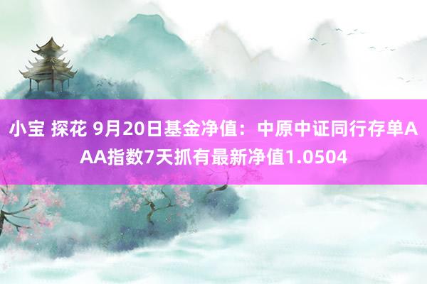 小宝 探花 9月20日基金净值：中原中证同行存单AAA指数7天抓有最新净值1.0504