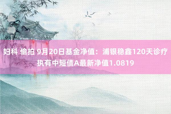 妇科 偷拍 9月20日基金净值：浦银稳鑫120天诊疗执有中短债A最新净值1.0819