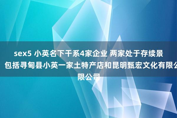 sex5 小英名下干系4家企业 两家处于存续景象，包括寻甸县小英一家土特产店和昆明甄宏文化有限公司