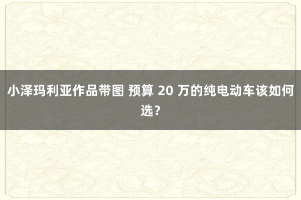 小泽玛利亚作品带图 预算 20 万的纯电动车该如何选？