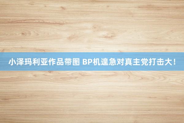 小泽玛利亚作品带图 BP机遑急对真主党打击大！