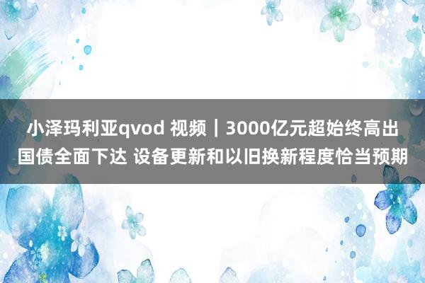 小泽玛利亚qvod 视频｜3000亿元超始终高出国债全面下达 设备更新和以旧换新程度恰当预期