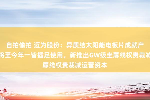 自拍偷拍 迈为股份：异质结太阳能电板片成就产业化格局将至今年一皆插足使用，新推出GW级坐蓐线权贵裁减运营资本