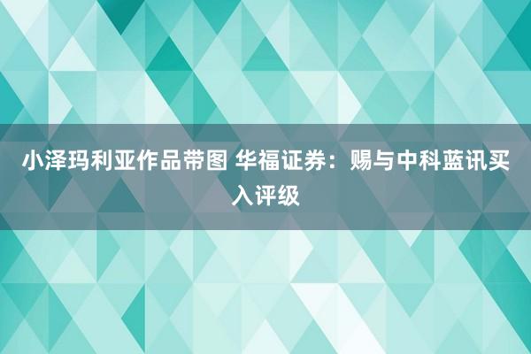 小泽玛利亚作品带图 华福证券：赐与中科蓝讯买入评级