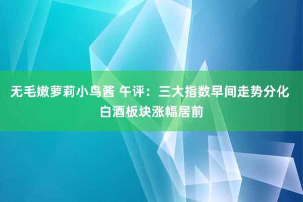 无毛嫩萝莉小鸟酱 午评：三大指数早间走势分化 白酒板块涨幅居前