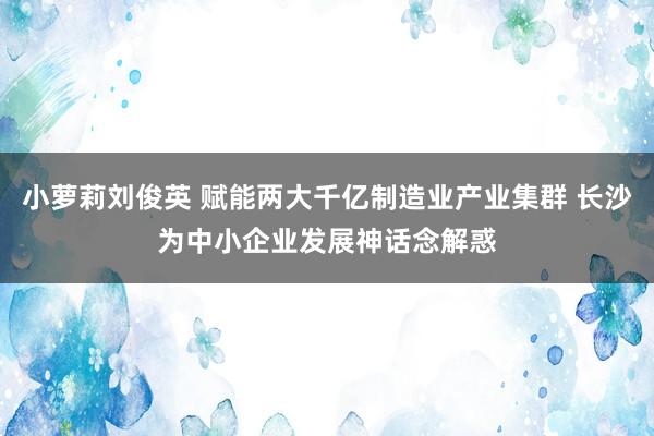 小萝莉刘俊英 赋能两大千亿制造业产业集群 长沙为中小企业发展神话念解惑