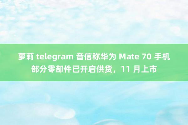 萝莉 telegram 音信称华为 Mate 70 手机部分零部件已开启供货，11 月上市