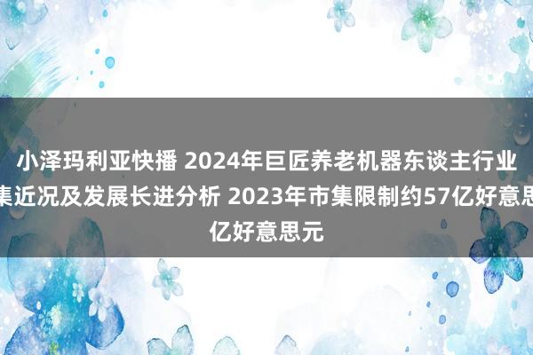 小泽玛利亚快播 2024年巨匠养老机器东谈主行业市集近况及发展长进分析 2023年市集限制约57亿好意思元