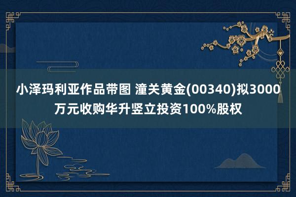 小泽玛利亚作品带图 潼关黄金(00340)拟3000万元收购华升竖立投资100%股权