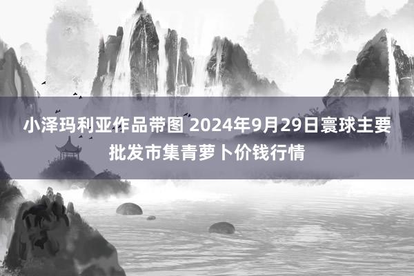 小泽玛利亚作品带图 2024年9月29日寰球主要批发市集青萝卜价钱行情