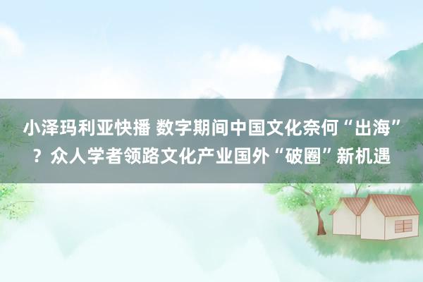 小泽玛利亚快播 数字期间中国文化奈何“出海”？众人学者领路文化产业国外“破圈”新机遇