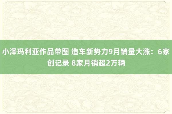 小泽玛利亚作品带图 造车新势力9月销量大涨：6家创记录 8家月销超2万辆