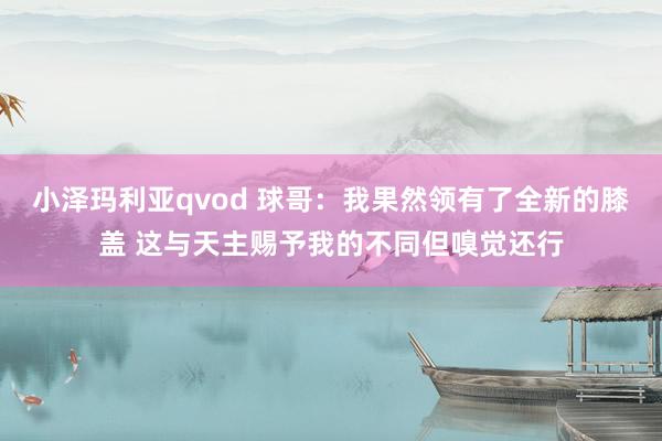 小泽玛利亚qvod 球哥：我果然领有了全新的膝盖 这与天主赐予我的不同但嗅觉还行