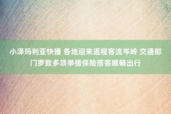 小泽玛利亚快播 各地迎来返程客流岑岭 交通部门罗致多项举措保险搭客顺畅出行