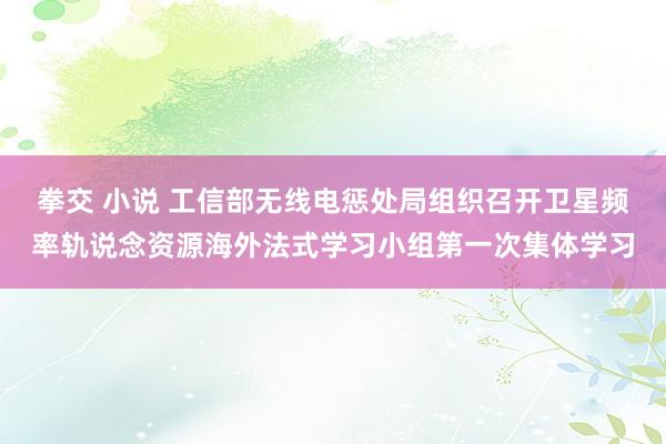 拳交 小说 工信部无线电惩处局组织召开卫星频率轨说念资源海外法式学习小组第一次集体学习