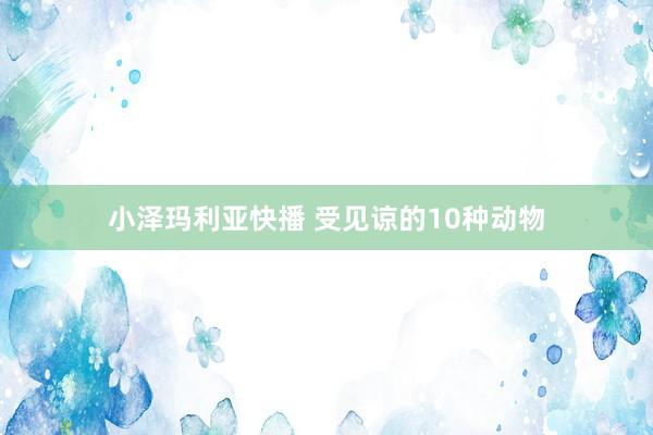 小泽玛利亚快播 受见谅的10种动物