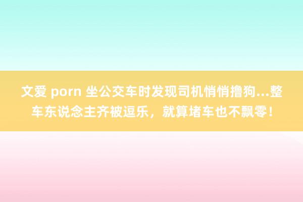 文爱 porn 坐公交车时发现司机悄悄撸狗...整车东说念主齐被逗乐，就算堵车也不飘零！