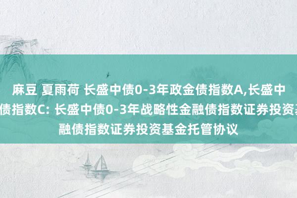 麻豆 夏雨荷 长盛中债0-3年政金债指数A，长盛中债0-3年政金债指数C: 长盛中债0-3年战略性金融债指数证券投资基金托管协议