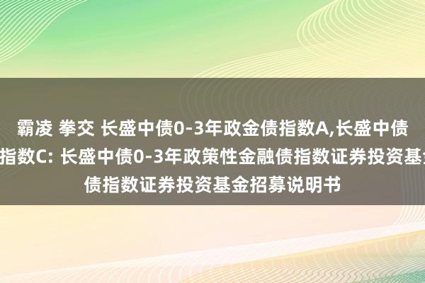 霸凌 拳交 长盛中债0-3年政金债指数A，长盛中债0-3年政金债指数C: 长盛中债0-3年政策性金融债指数证券投资基金招募说明书