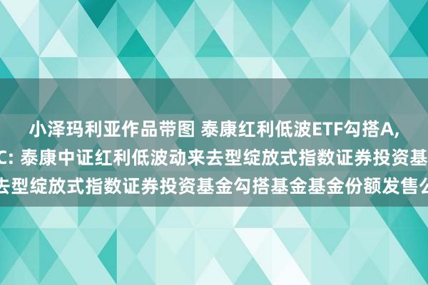 小泽玛利亚作品带图 泰康红利低波ETF勾搭A，泰康红利低波ETF勾搭C: 泰康中证红利低波动来去型绽放式指数证券投资基金勾搭基金基金份额发售公告