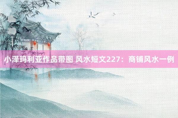 小泽玛利亚作品带图 风水短文227：商铺风水一例