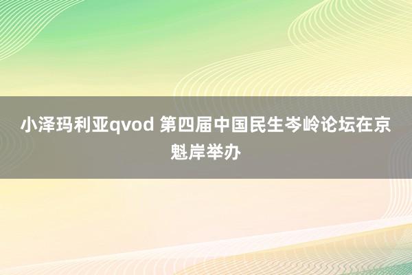 小泽玛利亚qvod 第四届中国民生岑岭论坛在京魁岸举办