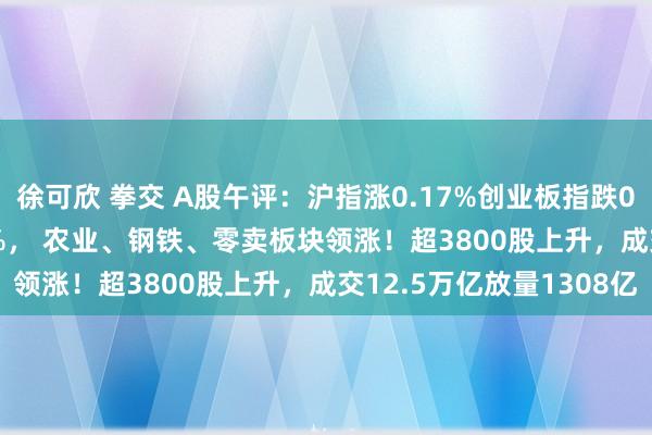 徐可欣 拳交 A股午评：沪指涨0.17%创业板指跌0.47%北证50跌1.55%， 农业、钢铁、零卖板块领涨！超3800股上升，成交12.5万亿放量1308亿