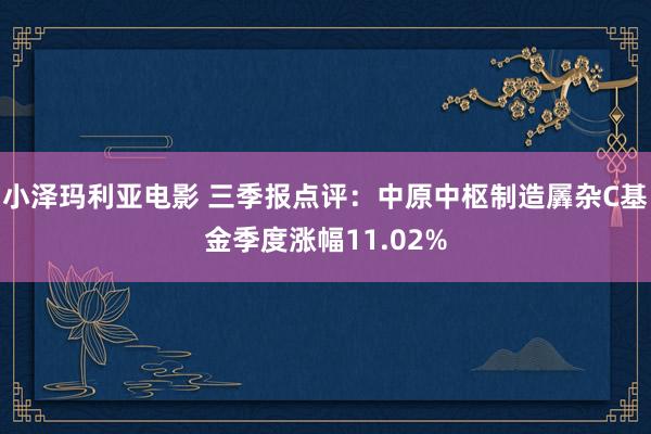 小泽玛利亚电影 三季报点评：中原中枢制造羼杂C基金季度涨幅11.02%