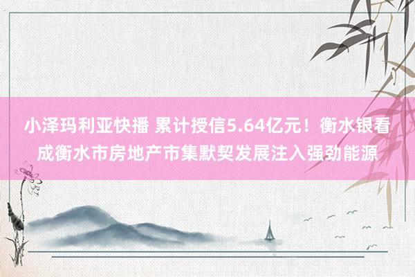 小泽玛利亚快播 累计授信5.64亿元！衡水银看成衡水市房地产市集默契发展注入强劲能源