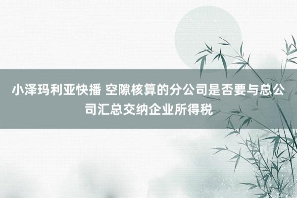 小泽玛利亚快播 空隙核算的分公司是否要与总公司汇总交纳企业所得税