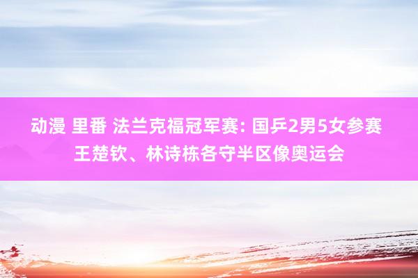 动漫 里番 法兰克福冠军赛: 国乒2男5女参赛 王楚钦、林诗栋各守半区像奥运会