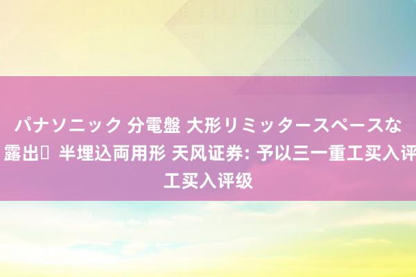 パナソニック 分電盤 大形リミッタースペースなし 露出・半埋込両用形 天风证券: 予以三一重工买入评级