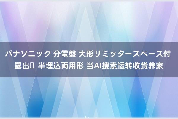 パナソニック 分電盤 大形リミッタースペース付 露出・半埋込両用形 当AI搜索运转收货养家