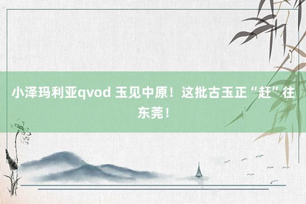 小泽玛利亚qvod 玉见中原！这批古玉正“赶”往东莞！