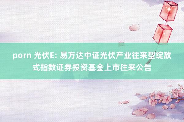 porn 光伏E: 易方达中证光伏产业往来型绽放式指数证券投