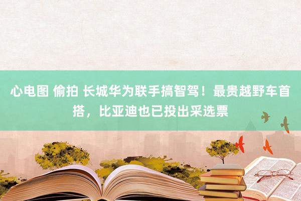 心电图 偷拍 长城华为联手搞智驾！最贵越野车首搭，比亚迪也已投出采选票