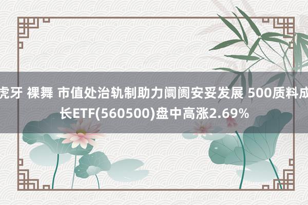 虎牙 裸舞 市值处治轨制助力阛阓安妥发展 500质料成长ETF(560500)盘中高涨2.69%