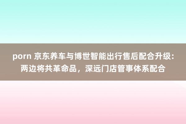 porn 京东养车与博世智能出行售后配合升级：两边将共革命品，深远门店管事体系配合