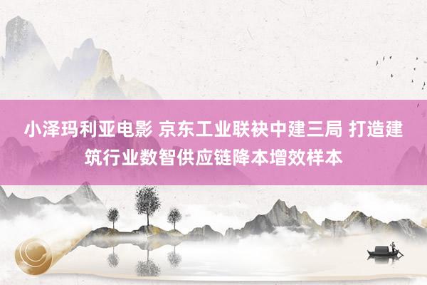 小泽玛利亚电影 京东工业联袂中建三局 打造建筑行业数智供应链降本增效样本