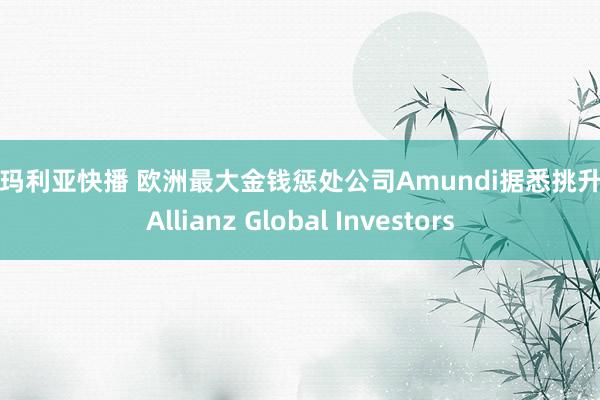 小泽玛利亚快播 欧洲最大金钱惩处公司Amundi据悉挑升收购Allianz Global Investors