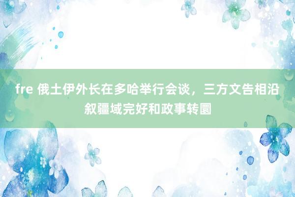 fre 俄土伊外长在多哈举行会谈，三方文告相沿叙疆域完好和政事转圜