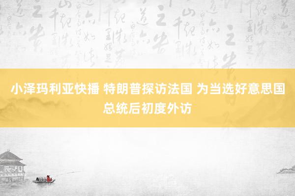 小泽玛利亚快播 特朗普探访法国 为当选好意思国总统后初度外访