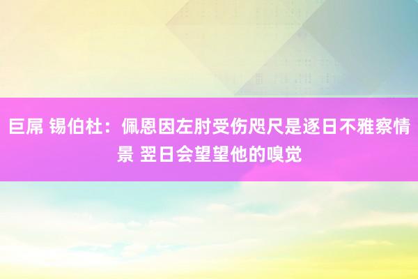 巨屌 锡伯杜：佩恩因左肘受伤咫尺是逐日不雅察情景 翌日会望望他的嗅觉