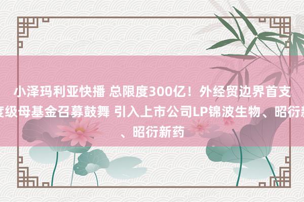 小泽玛利亚快播 总限度300亿！外经贸边界首支国度级母基金召募鼓舞 引入上市公司LP锦波生物、昭衍新药