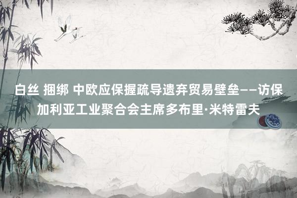 白丝 捆绑 中欧应保握疏导遗弃贸易壁垒——访保加利亚工业聚合会主席多布里·米特雷夫