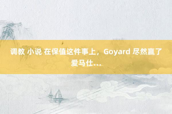 调教 小说 在保值这件事上，Goyard 尽然赢了爱马仕…