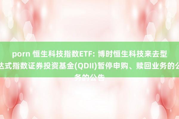 porn 恒生科技指数ETF: 博时恒生科技来去型通达式指数证券投资基金(QDII)暂停申购、赎回业务的公告